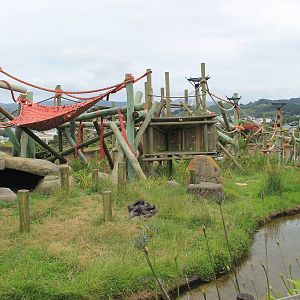Chimpanzee enclosure after redevelopment