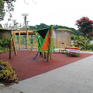 Approach to the new viewing area for Chimpanzees