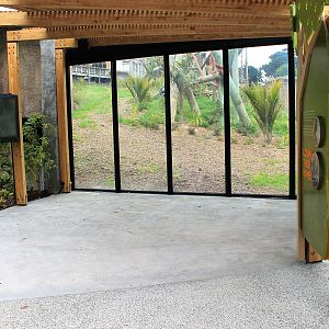 Chimpanzees, new lower viewing area