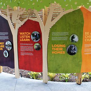 New Chimpanzee Signage