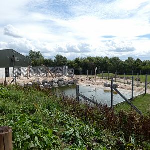 Sand Paddock and Pool (Elephant Basecamp)