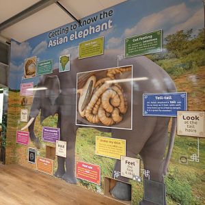 Education signage in 'Elephant Basecamp'