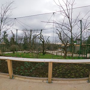 Dec. 2018 - Future Colobus Exhibit