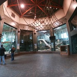 Dec. 2018 - Gorilla Forest - Gorilla Sanctuary