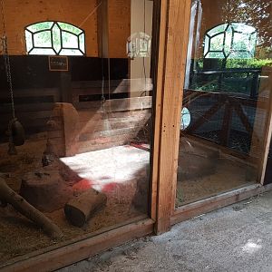 Meerkat indoor-enclosure