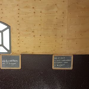 Birthsigns Woolly pig