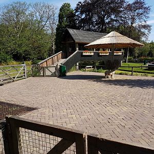 Sheep-enclosure with viewing-point