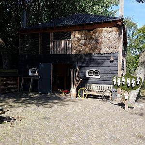 Hay-shed and stables