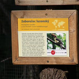 Luzon Tarictic Hornbill Signage