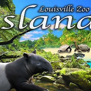 Zoo Tours: The Award Winning Islands Exhibit