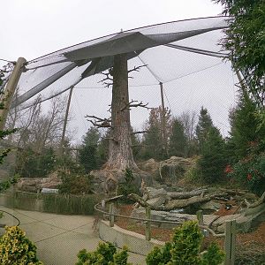 Dec. 2018 - Glacier Run - Steller's Sea Eagle + Others Aviaries