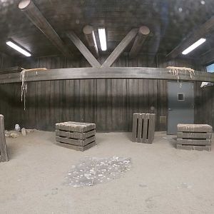 Dec. 2018 - Glacier Run - Snow Owl Exhibit