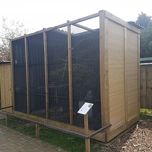 Partridge - Squirrel enclosure
