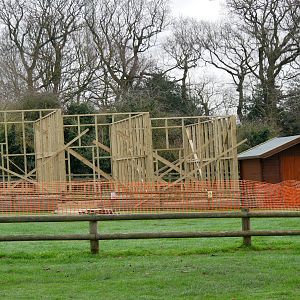 Bird of Prey Arena Works