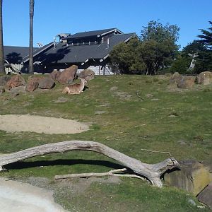 African Savanna exhibit