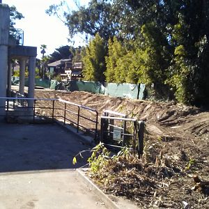 Construction for new Madagascar exhibit