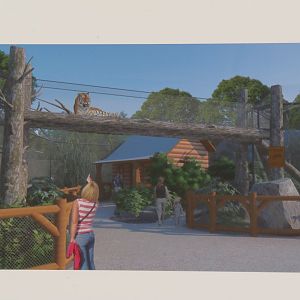 New Tiger Exhibit Concept