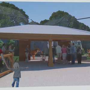 New Tiger Exhibit Concept