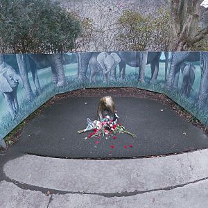 Jan. 2019 - Asia Quest - Flowers Commemorating Baby Ellie