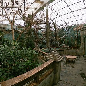 Jan. 2019 - Roadhouse - Aviary (22 Species)