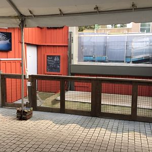 Research Outpost (New in 2018)