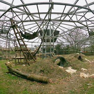 Jan. 2019 - Congo Expedition - Gorilla Exhibit Pano