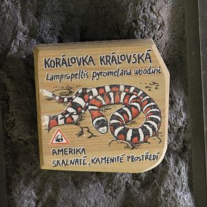 Huachuca Mountain Kingsnake Signage