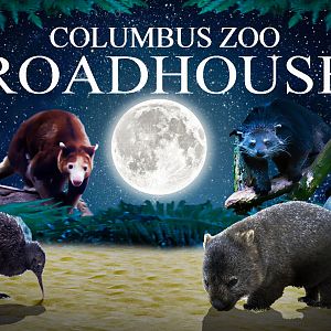 Columbus Zoo's Roadhouse - 'Promotional Art'