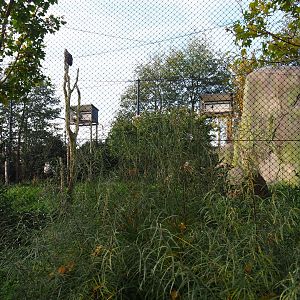 Vulture and large bird aviary (Nov 10th, 2018)