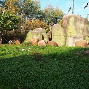 Vulture and large bird aviary (Nov 10th, 2018)
