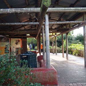 Vulture and large bird aviary viewing area (Nov 10th, 2018)