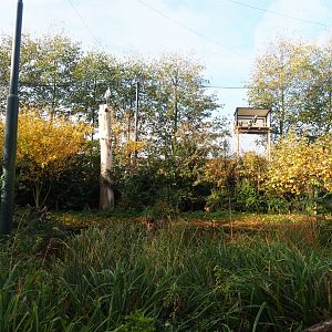 Vulture and large bird aviary (Nov 10th, 2018)