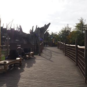 Savannah viewing walkway (Nov 10th, 2018)