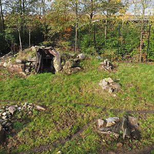 Part of the spotted hyena exhibit (Nov 10th, 2018)