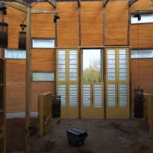 Reticulated giraffe stable (Nov 10th, 2018)