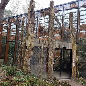 Giant tortoise-house