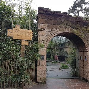 Viewing-window Amur tiger-enclosure