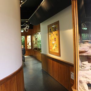 View into the 100.000 animal-house