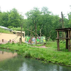 Orang-Utan enclosure at Dortmund 11/05/2009