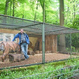Zoogiraffe makes himself at home at Dortmund 11/05/2009