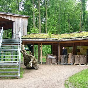 Small cat enclosures under construction at Dortmund 11/05/2009