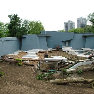 Former sealion pool under redevelopment at Koeln 12/05/09