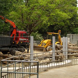 Ampliation of the elephant enclosure