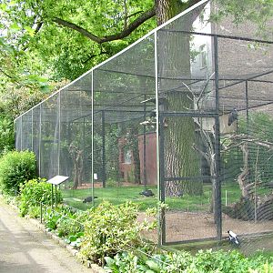 Large Wader aviary at Koeln 12/05/09