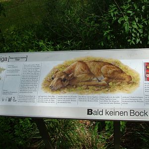 Signage example at Koeln 12/05/09