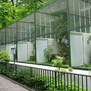 Small Cat House at Wuppertal 13/05/09