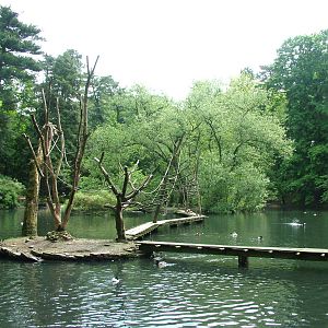 Gibbon islands at Wuppertal 13/05/09