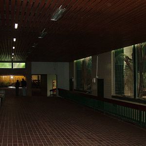 Large Cat House at Wuppertal 13/05/09