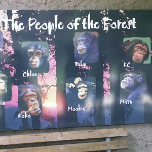 the people of the forest sign