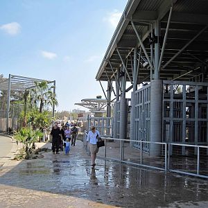 Elephant Odyssey - Opening Day